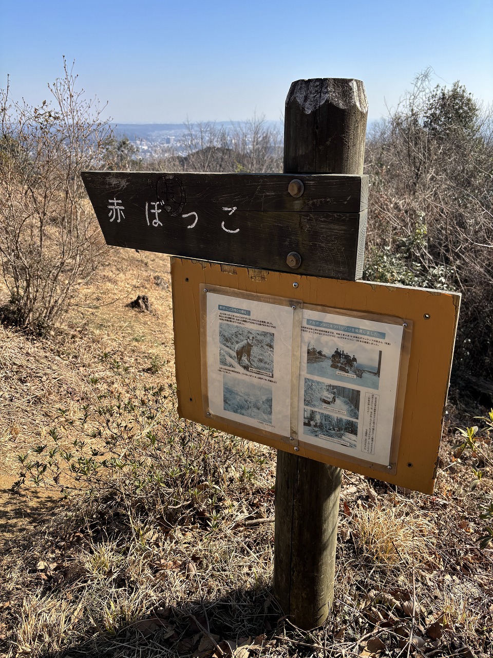 あかぼっこ
